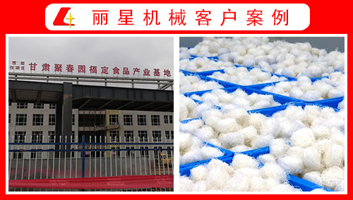 甘肃聚春园引进丽星水晶粉丝生产线、酸辣粉加工设备正式投产