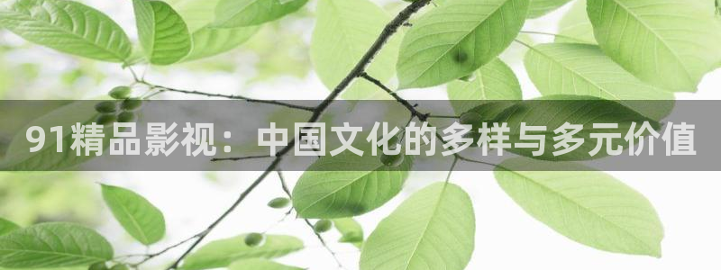 青丝影视最新电视剧在线播放：91精品影视：中国文化的多样与多元价值