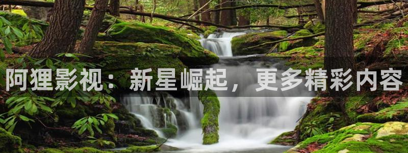 青丝影视在线观看：阿狸影视：新星崛起，更多精彩内容