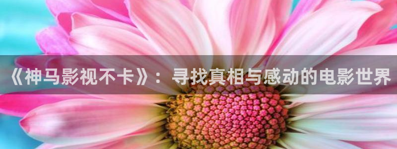 青丝影院免费观看高清完整版：《神马影视不卡》：寻找真相与感动的电影世界